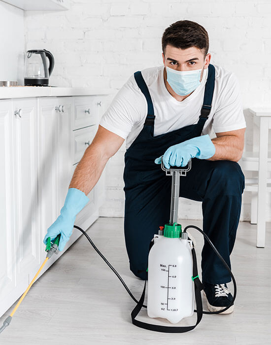 Pest Control Companies in Abu Dhabi