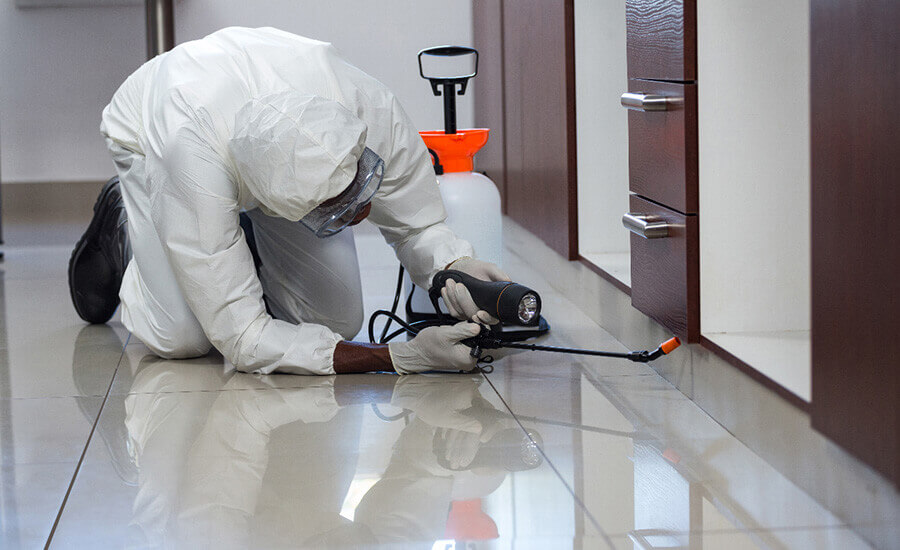 Anti-Termite Services