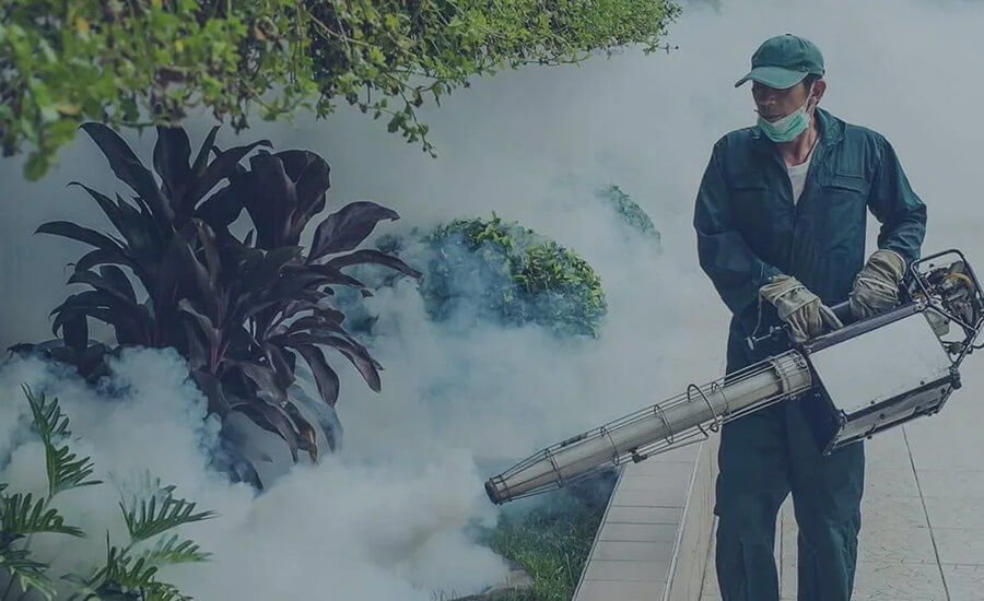 Fumigation Services
