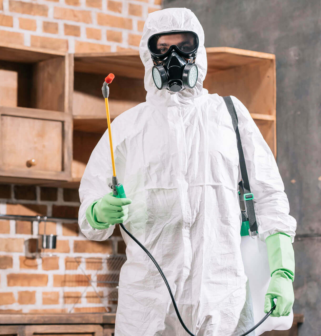 Pest Control Companies in Abu Dhabi and Dubai