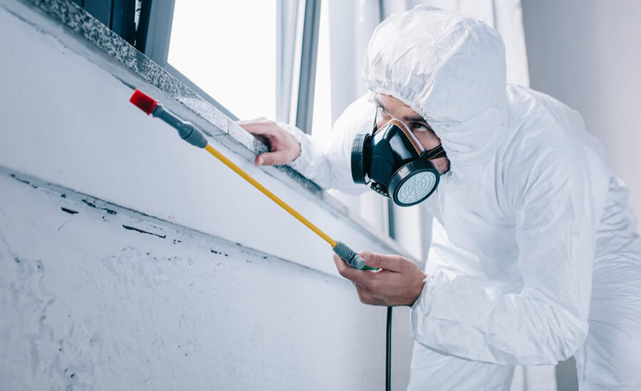 Post-Construction Termite Control