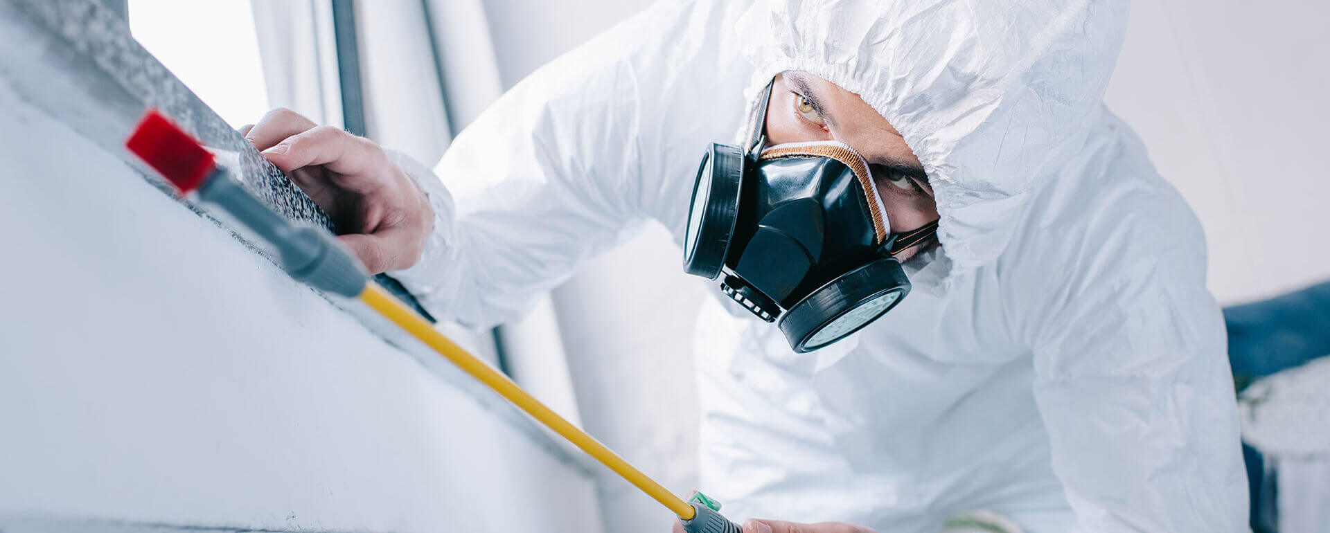 Pest Control Services in Abu Dhabi