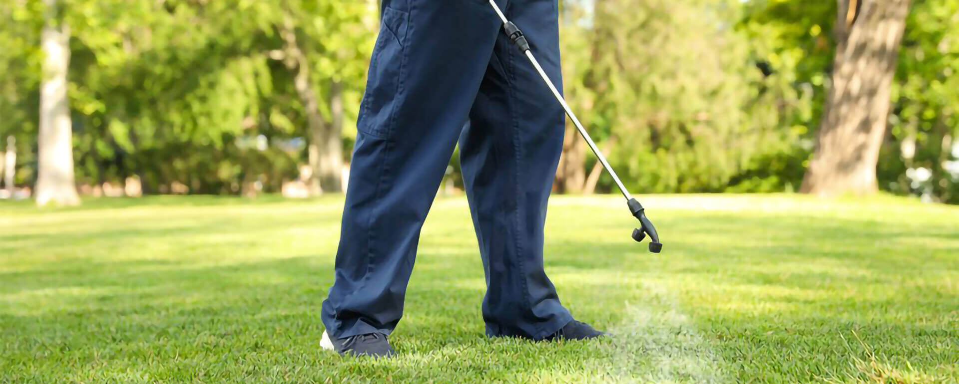 Pest Control Companies in Abu Dhabi and Dubai